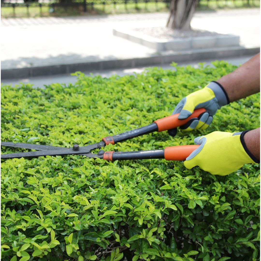 Gants jardinage tactiles en cuir